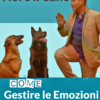 Piano educativo 24h mensile (Programmazione x 3 mesi) - immagine 2