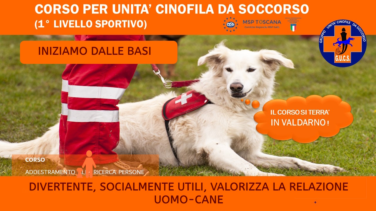 ricerca e soccorso, protezione civile, educazione del cane, educatore cinofilo, addestramento